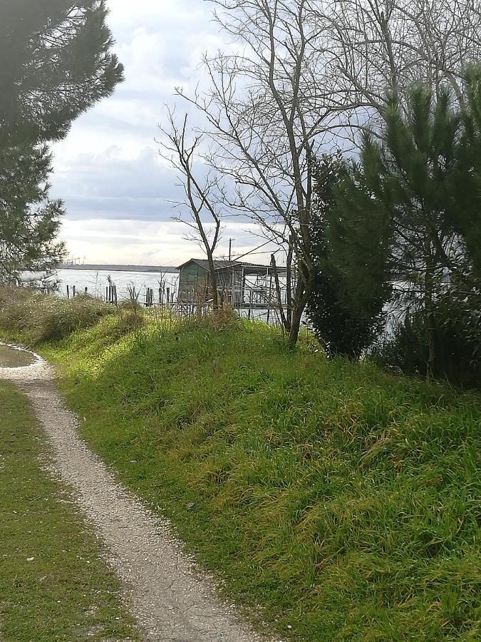 Bilocale Marina Romea Apartment Bagian luar foto