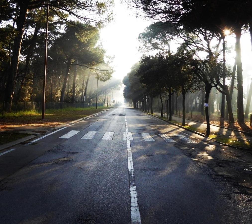 Bilocale Marina Romea Apartment Bagian luar foto